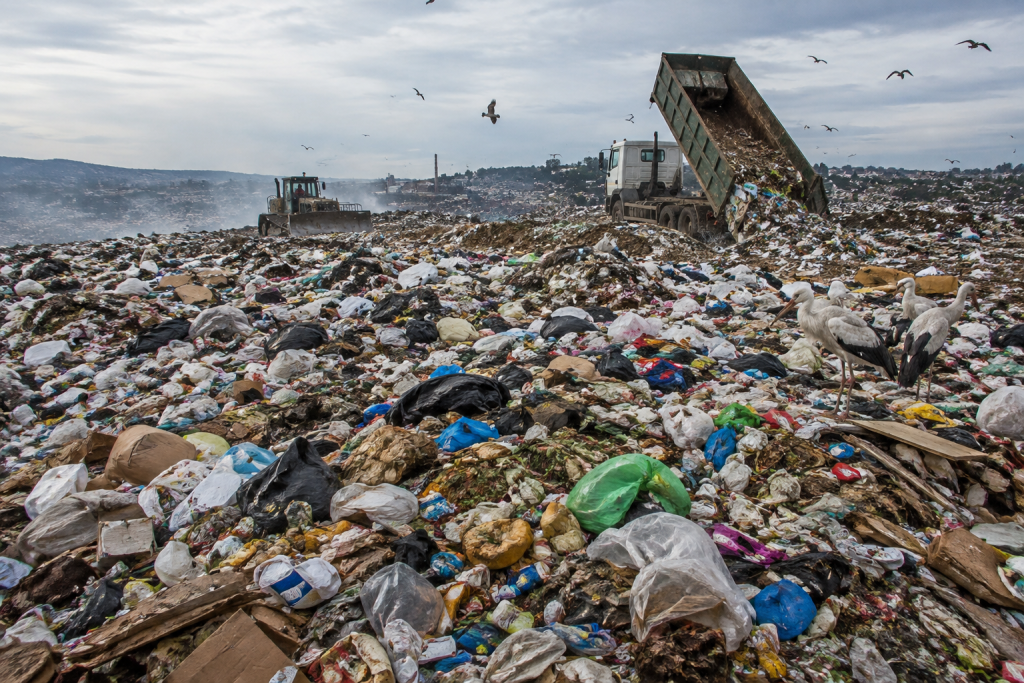 THE MISERABLE DUMPYARD JUSA TRYING TO REACH OUT