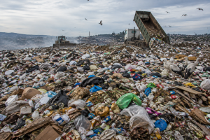 THE MISERABLE DUMPYARD JUSA TRYING TO REACH OUT